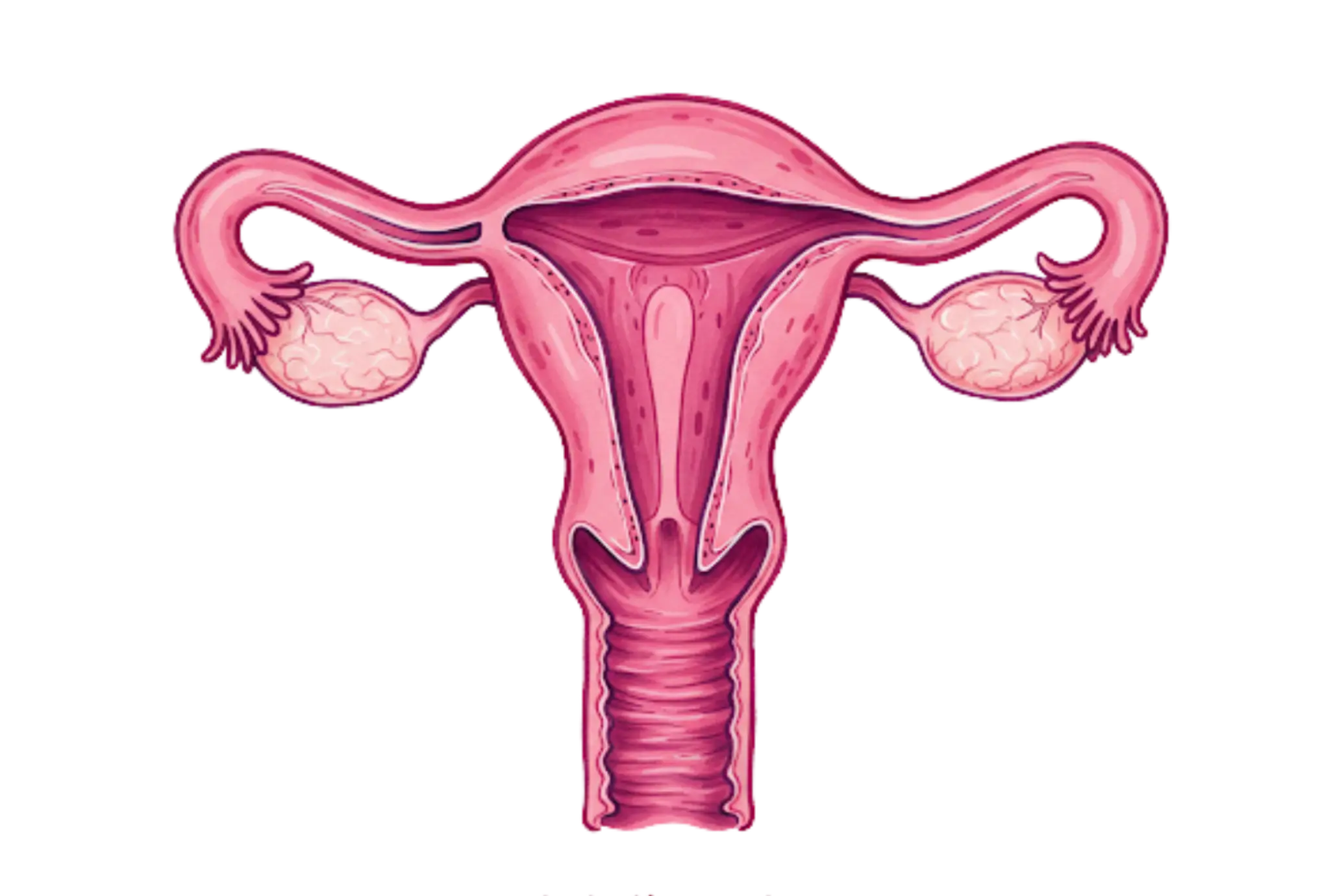 Хвороби матки та яєчників